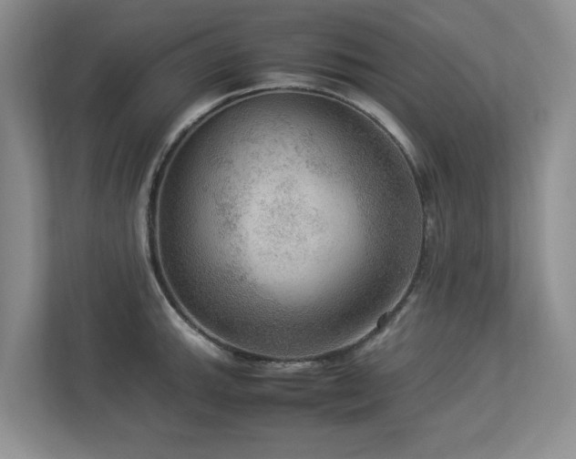 X0000112951143200908241337
