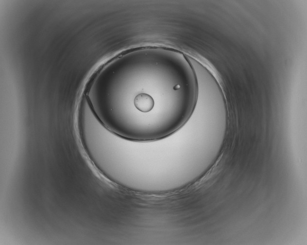 X0000112951144200908241337