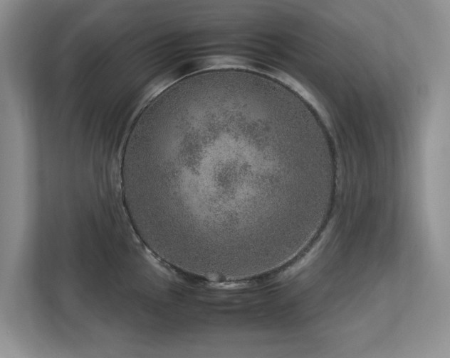 X0000112951145200908241337
