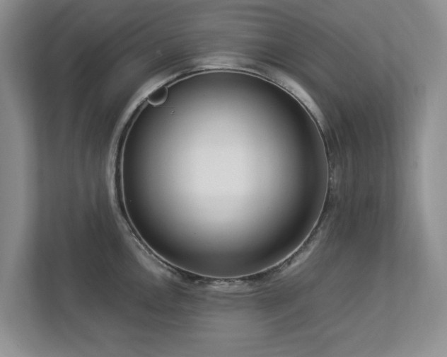 X0000112951146200908241337
