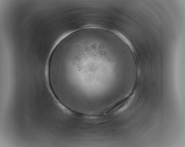 X0000112951149200908241337