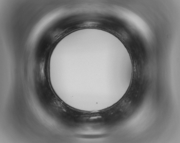 X0000112951150200908241337