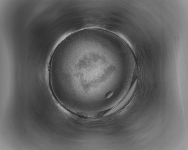 X0000112951151200908241337