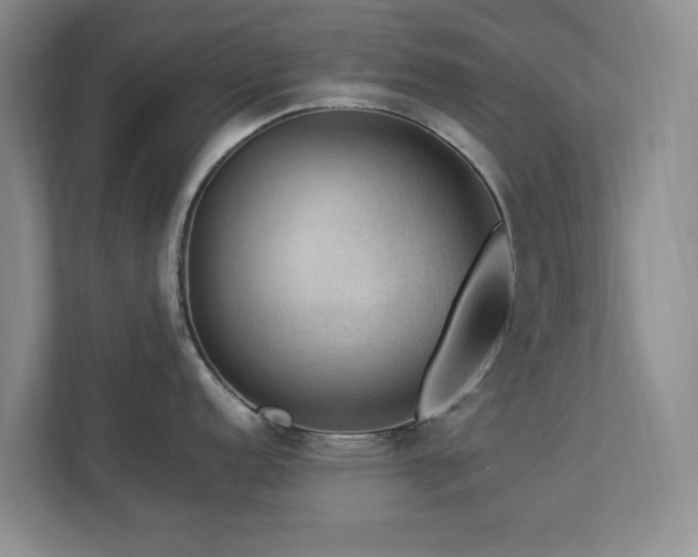 X0000112951152200908241337