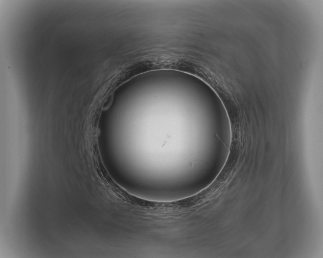X0000112951153200908241337