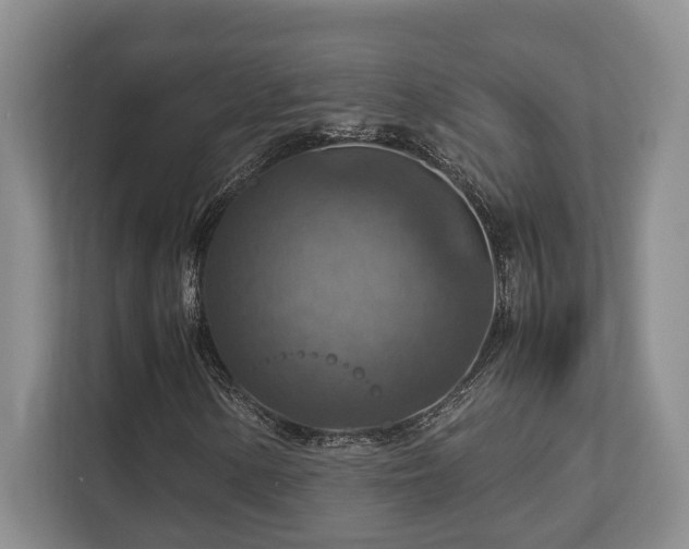 X0000112951154200908241337