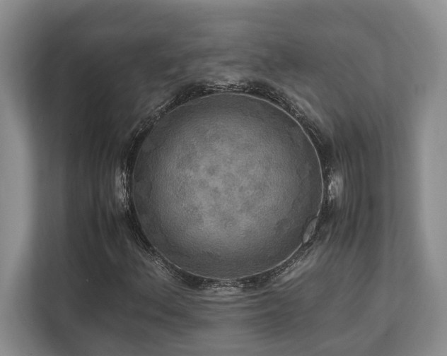 X0000112951156200908241337
