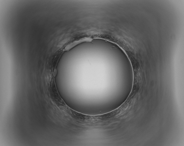 X0000112951157200908241337