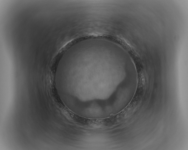 X0000112951158200908241337
