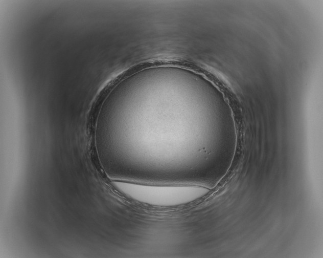 X0000112951160200908241337