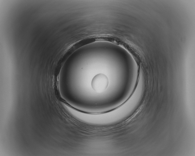 X0000112951161200908241337