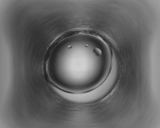 X0000112951162200908241337