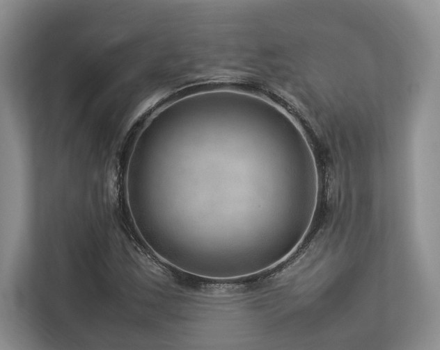 X0000112951163200908241337