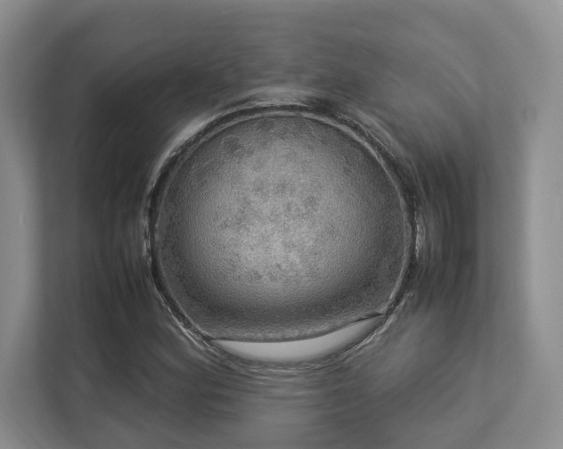 X0000112951164200908241337