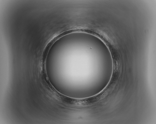 X0000112951165200908241337
