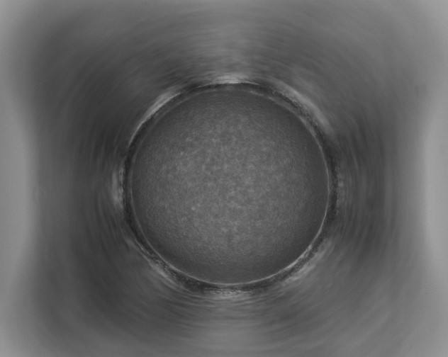 X0000112951170200908241337
