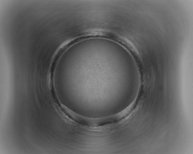 X0000112951172200908241337