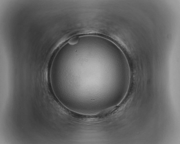 X0000112951173200908241337