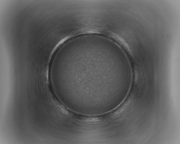 X0000112951174200908241337