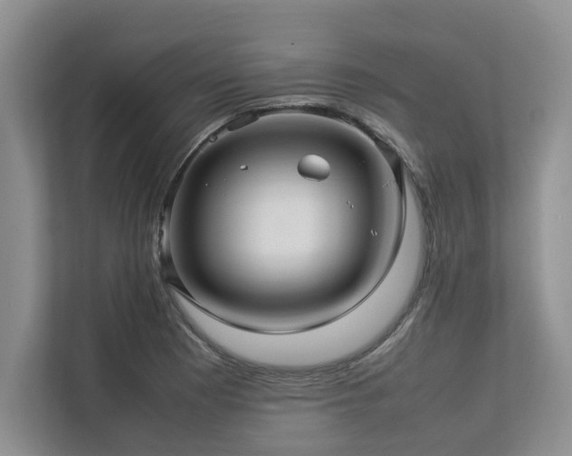 X0000112951177200908241337