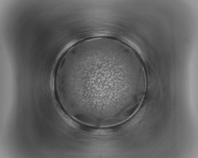 X0000112951179200908241337