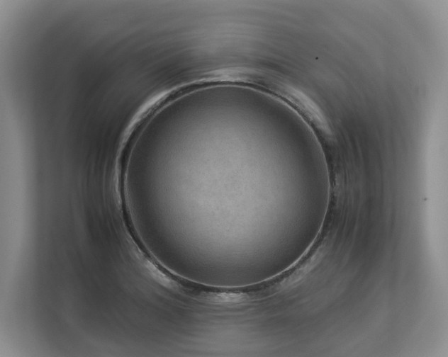 X0000112951180200908241336