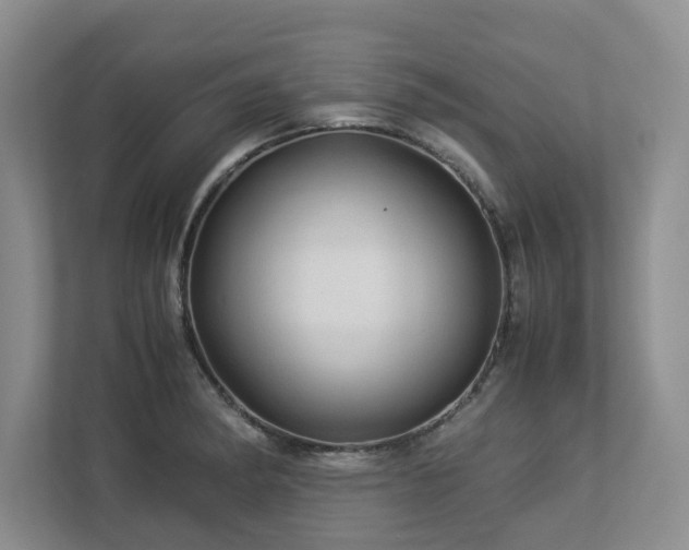 X0000112951182200908241336