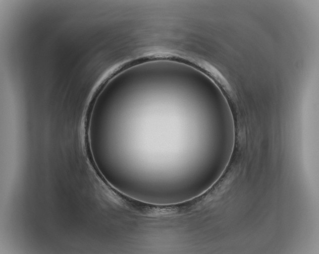 X0000112951183200908241336
