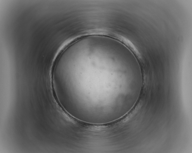 X0000112951184200908241336