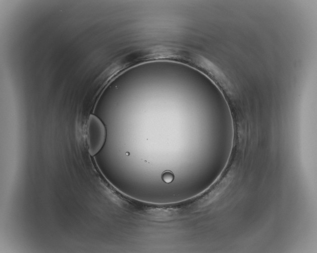 X0000112951185200908241336