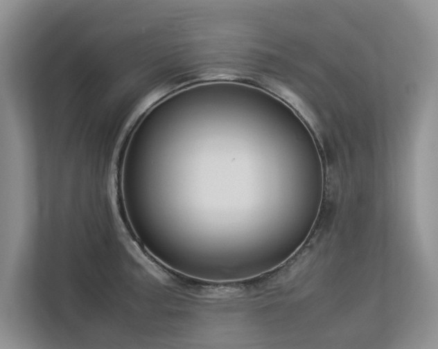 X0000112951187200908241336