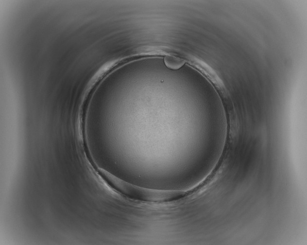 X0000112951188200908241336