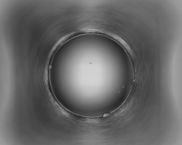 X0000112951191200908241336