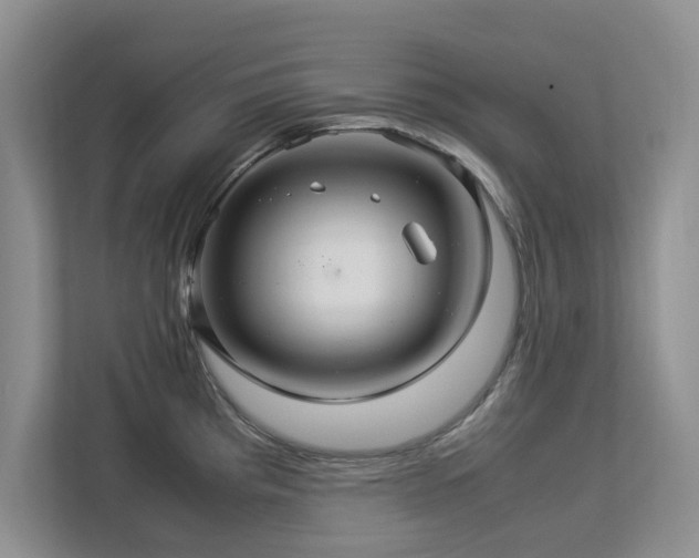 X0000112951193200908241336