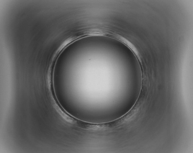 X0000112951195200908241336