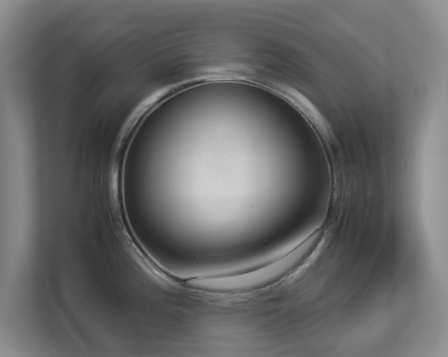 X0000112951196200908241336
