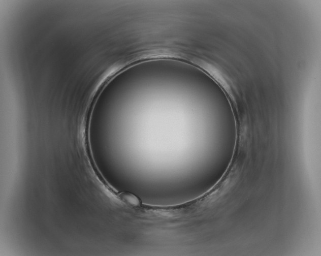 X0000112951197200908241336