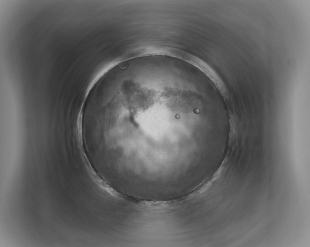 X0000112951198200908241336
