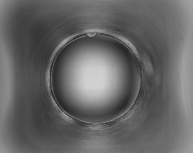 X0000112951199200908241336