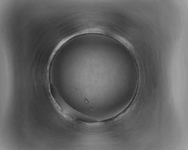 X0000112951200200908241336