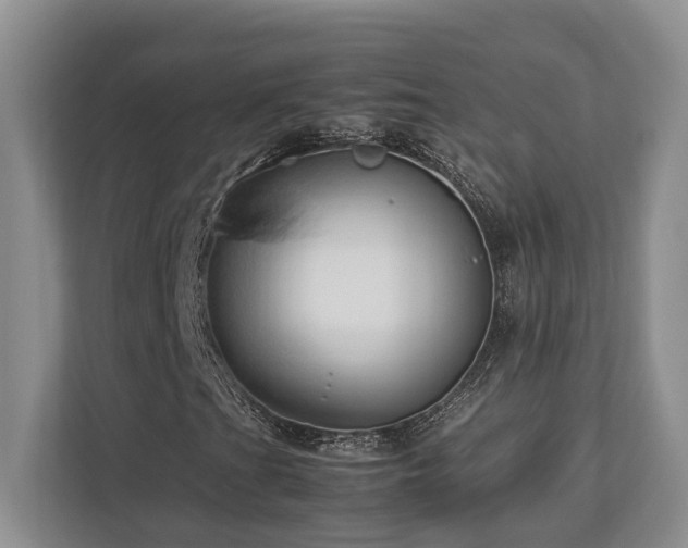 X0000112951201200908241336