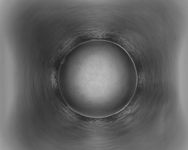 X0000112951202200908241336