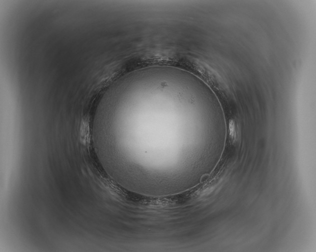 X0000112951203200908241336