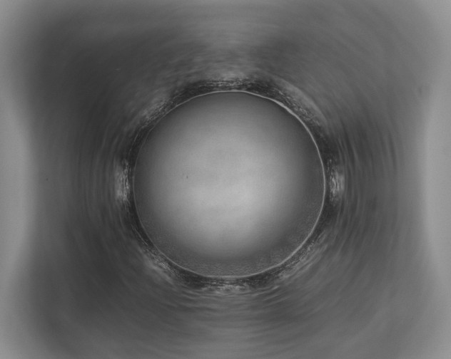 X0000112951204200908241336