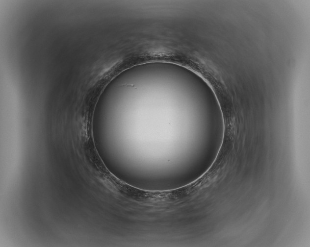 X0000112951205200908241336