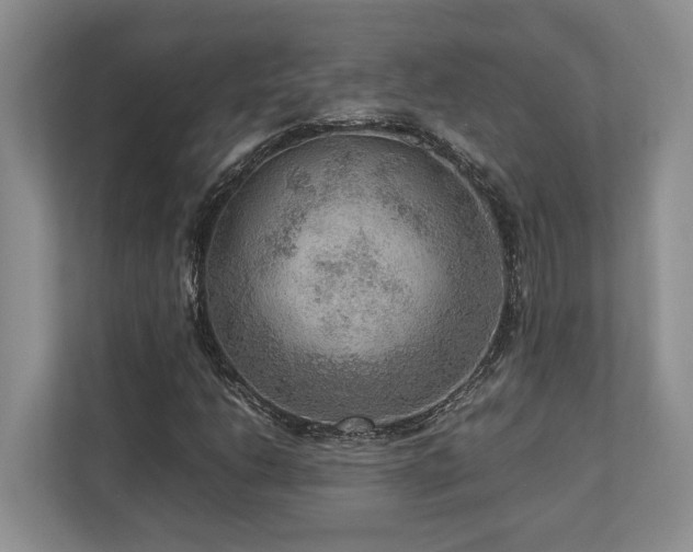 X0000112951206200908241336