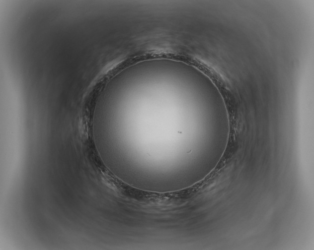 X0000112951207200908241336