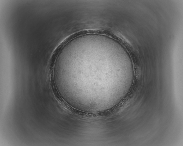 X0000112951208200908241336
