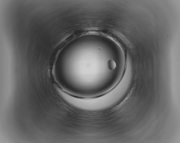 X0000112951209200908241336