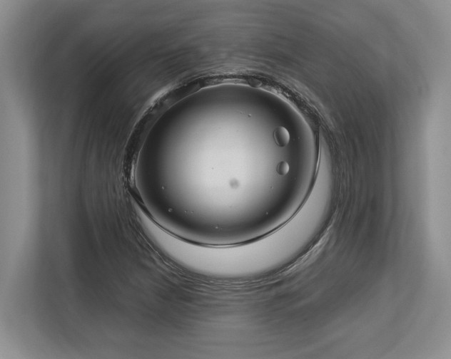 X0000112951210200908241336